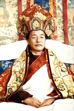 Pema Rigtsal Rinpoche