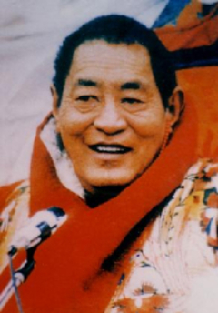 Fourteenth Dalai Lama