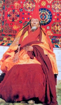 Arik Rinpoche