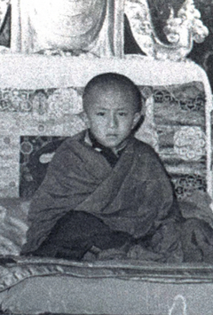 Dilgo Khyentse Rinpoche