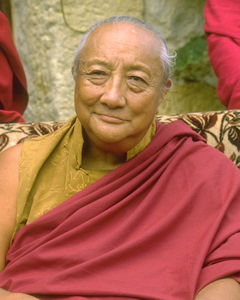 Shechen Rabjam Rinpoche