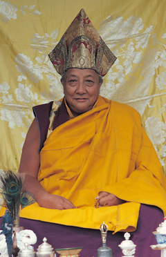 Trulshik Rinpoche