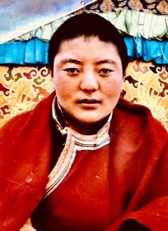 རྗེ་བཙུན་མ་མུ་མཚོ་རིན་པོ་ཆེ།