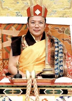 Tai Situ Rinpoche