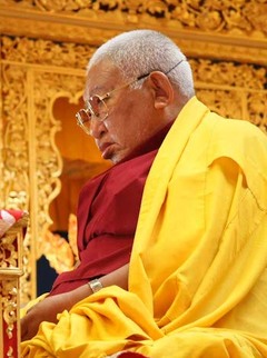 Trulshik Rinpoche