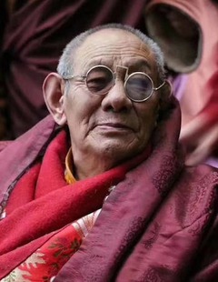 Namkha Drimed Rinpoche