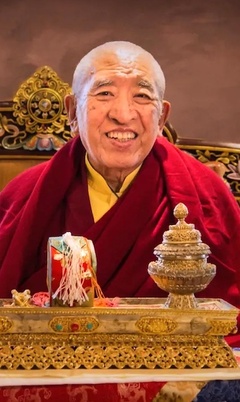 Shechen Rabjam Rinpoche