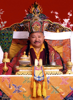 Fourteenth Dalai Lama