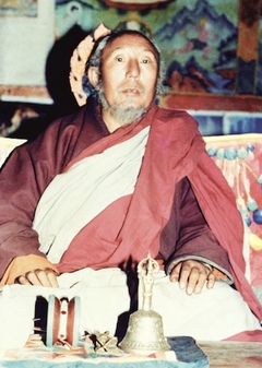 Tsokhang Choktrul Rinpoche