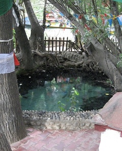 Jokyab Pema Trinlé Nyingpo